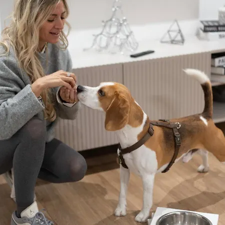 Gli Amori Di Carolina- Pet Friendly - Palazzo Carolina Apartment