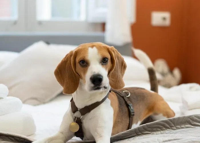 Gli Amori Di Carolina - Palazzo Carolina Пескара